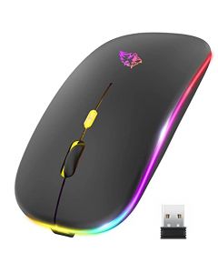 EASYTAO Mouse Inalámbrico, Mouse Bluetooth/Wireless2.4GHz Modos Dual Recargable con Iluminación RGB, Click Silencioso con Receptor USB 3 Ajustable DPI Ratón Para Computadora, Portátil, PC, Mac (Negro)