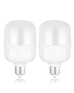 NEEWER Bombillas LED de 24W, 2 Pack 2160 Lúmenes/5700 K/CRI 93+/15000h Vida útil E26 Video Bombillas Brillantes, Silencioso/Sin Parpadeo/No Regulable Equivalente Incandescente de 200W