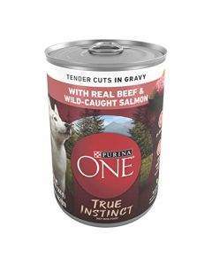 Purina ONE SmartBlend True Instinct Tender Cuts in Gravy With Real Beef & Wild-Caught Salmon Adult Wet Dog Food - Twelve (12) 13 oz. Cans