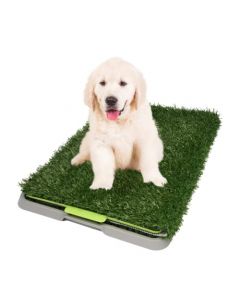 Fancy Pets Dry Pet Doggie Grass Tapete Entrenador para Perro Tamaño Chico