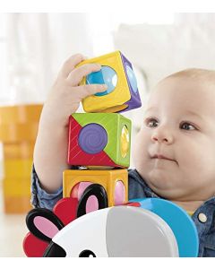 Fisher-Price, Cebra Bloques de Actividades, Juguete para bebé de 6 Meses en adelante