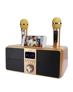 Liccx - Máquina de Karaoke, Máquina de Karaoke Portátil Profesional con 2 Micrófonos Inalámbricos, Altavoz de Canto Bluetooth para Niños, Adultos, Niños, Niñas, Fiesta en Casa(Oro)