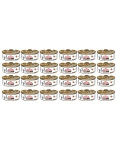 Royal CANIN 24 latas Recovery 145 g