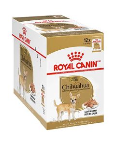 Royal Canin Breed Health Nutrition Chihuahua comida húmeda para perros, Pan en Salsa, Sin color artificial., 3 oz Pouch (Pack of 12)